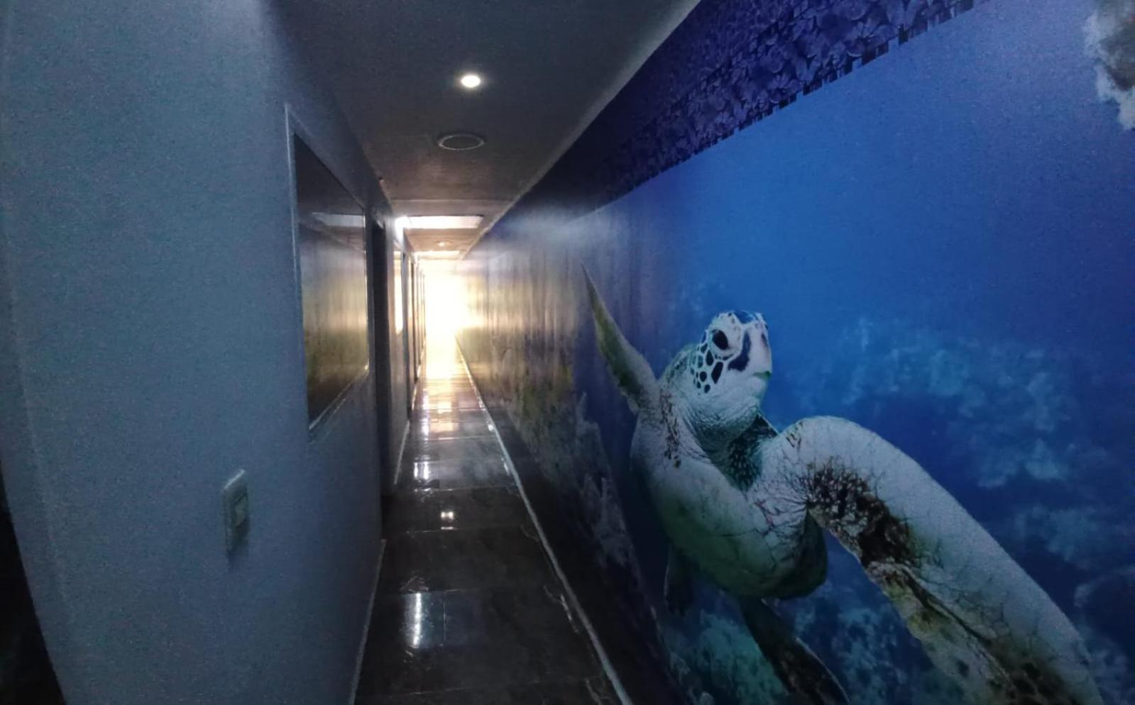 Hotel Dmauro Cartagena  Exterior foto